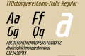 TTOctosquaresComp-Italic