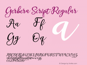 Gerbera Script