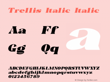 Trellis Italic