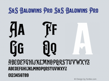 S&S Baldwins Pro