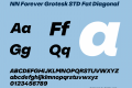 NN Forever Grotesk STD