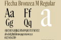 Flecha Bronzea