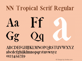 NN Tropical Serif