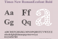 Times New RomanEcofont