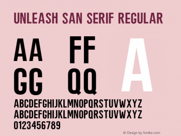 Unleash San Serif
