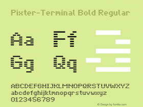 Pixter-Terminal Bold