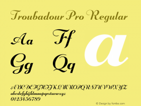 Troubadour Pro