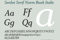 Senlot Serif