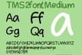 TMS2font