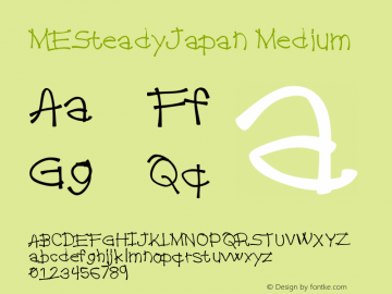 MESteadyJapan