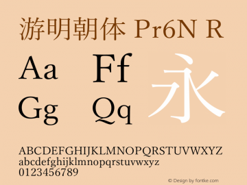 游明朝体 Pr6N