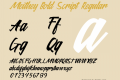 Meithey Bold Script