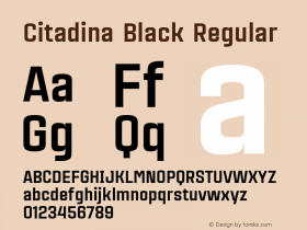 Citadina Black