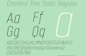 Citadina Thin Italic