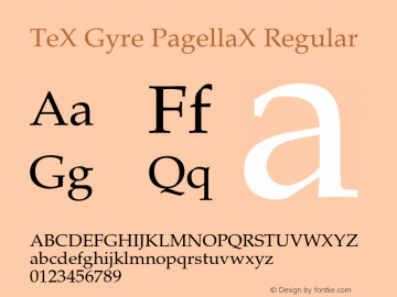 TeX Gyre PagellaX