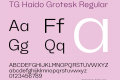 TG Haido Grotesk