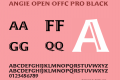 Angie Open Offc Pro