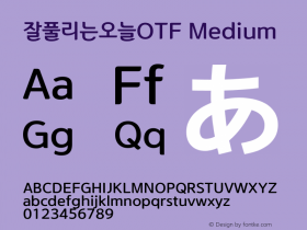 잘풀리는오늘OTF