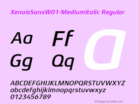 XenoisSansW01-MediumItalic