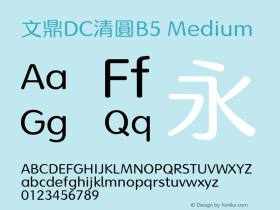 文鼎DC清圓B5