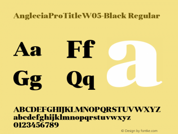 AngleciaProTitleW05-Black