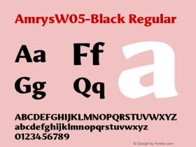 AmrysW05-Black