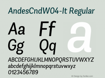 AndesCndW04-It