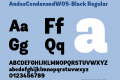 AndesCondensedW05-Black