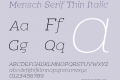 Mensch Serif