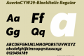 AvertaCYW29-BlackItalic