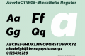 AvertaCYW05-BlackItalic