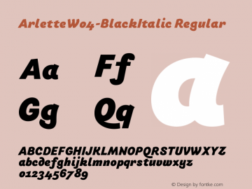 ArletteW04-BlackItalic