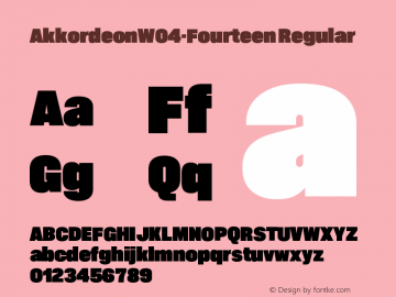 AkkordeonW04-Fourteen