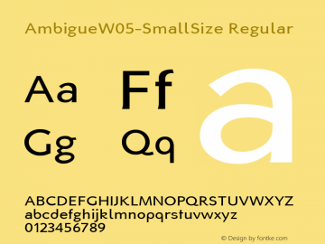 AmbigueW05-SmallSize