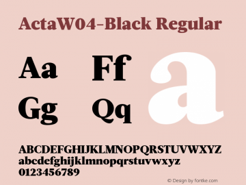 ActaW04-Black