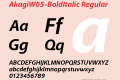 AkagiW05-BoldItalic