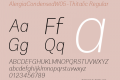 AlergiaCondensedW05-Thitalic