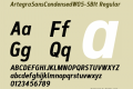 ArtegraSansCondensedW05-SBIt