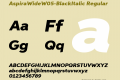 AspiraWideW05-BlackItalic