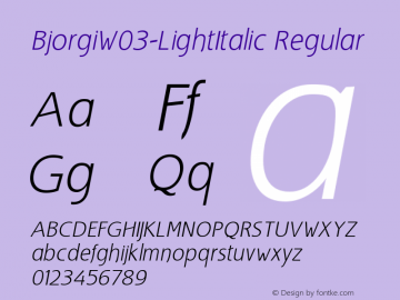 BjorgiW03-LightItalic