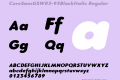 CoreSansGSW03-95BlackItalic