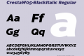 CrestaW05-BlackItalic