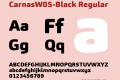 CarnasW05-Black