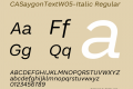 CASaygonTextW05-Italic