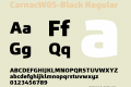 CarnacW05-Black