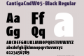 CantigaCndW05-Black