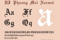 VI Phuong Mai