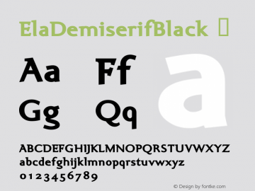 ElaDemiserifBlack