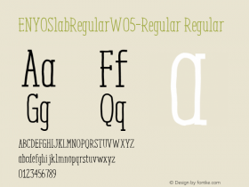 ENYOSlabRegularW05-Regular