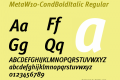 MetaW10-CondBoldItalic